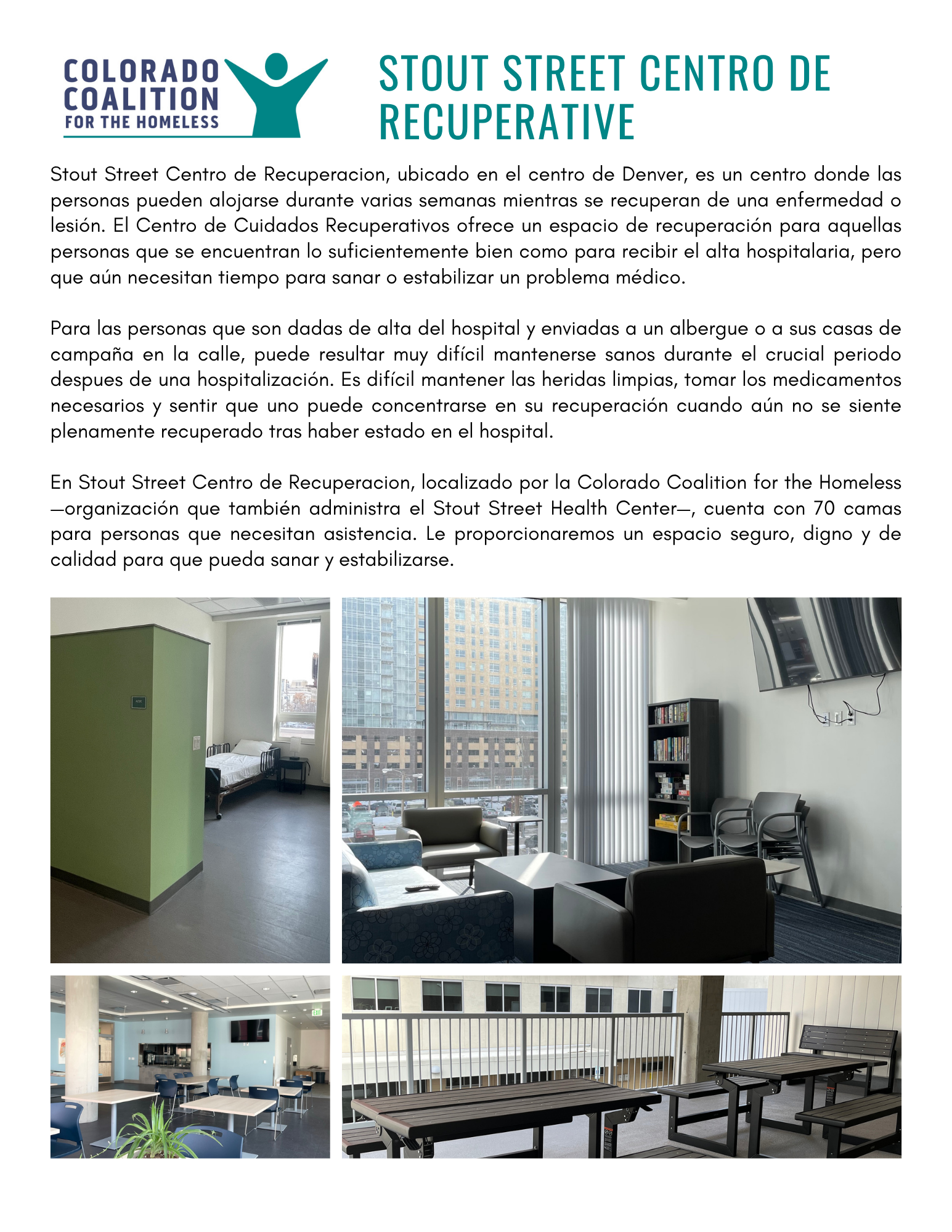 image of front page of overview/faq page (spanish)